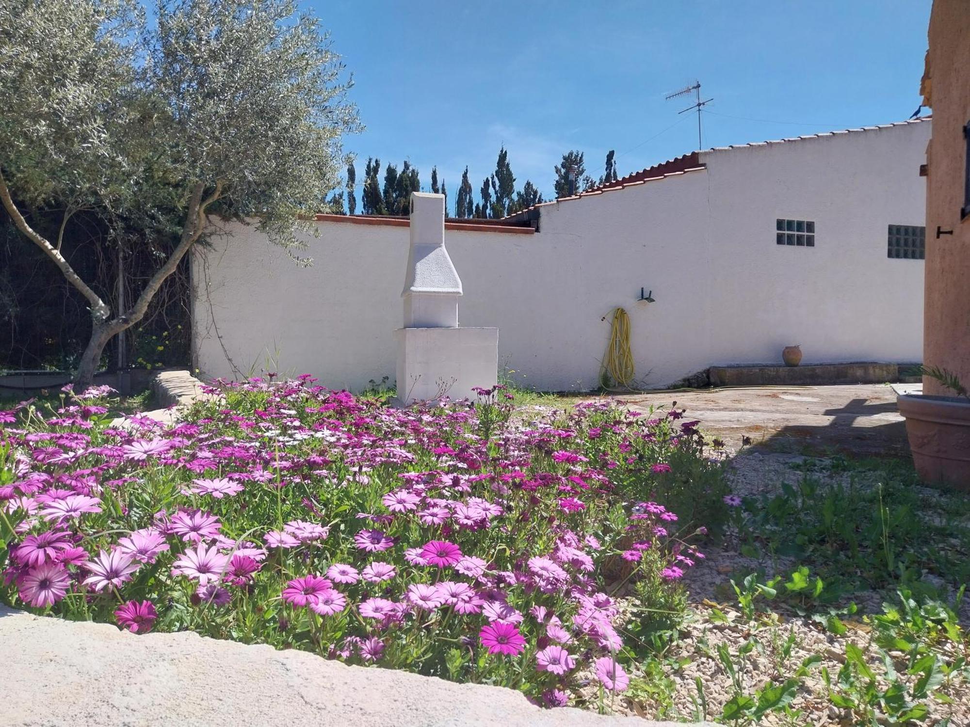 Casal Baraz Apartment Santa Maria la Palma Bagian luar foto